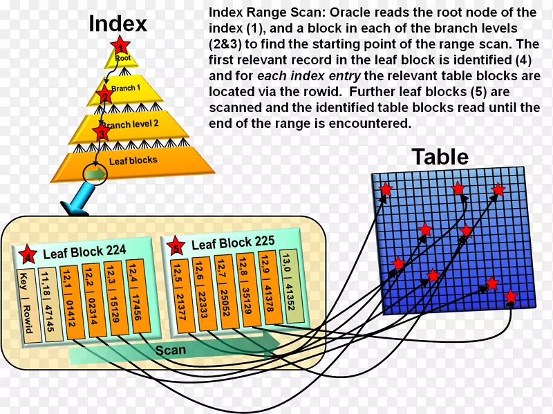 ���ݿ�����oracle���ݿ�ȫ��ɨ���-������