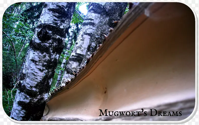 ˮ��-ˮ-������