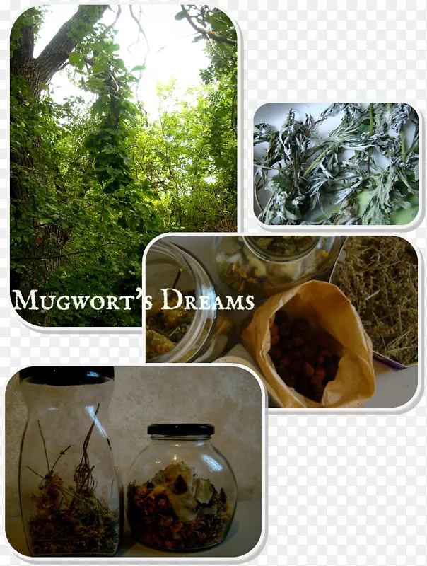 ��-��-������