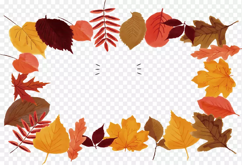 ��Ҷˮ�ʻ�ˮ����Ҷ-������