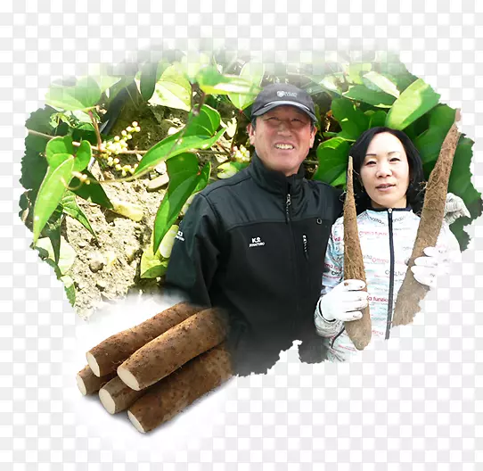 ����ʳƷ-�����-������