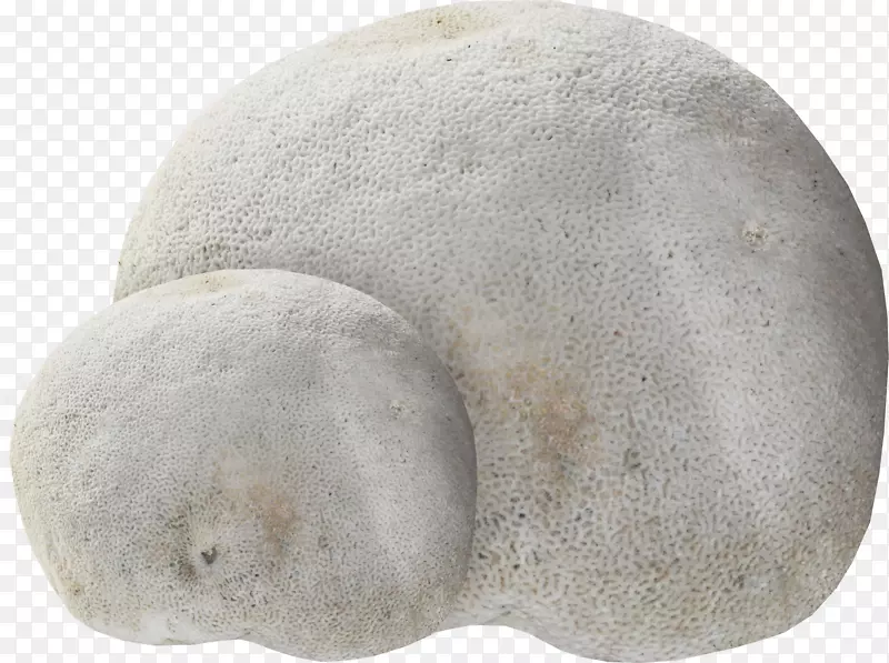 �����������ʦ-����ʯ-������