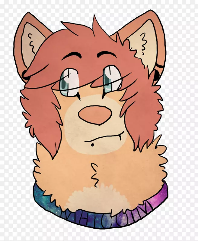 ����è���ӹ�è-������