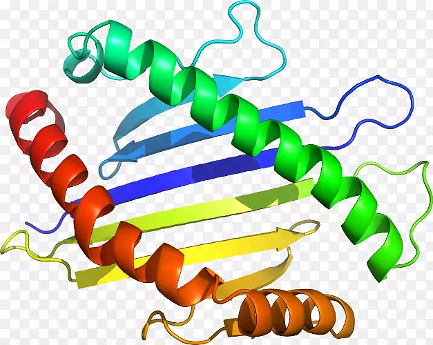 ���������л����߼�������-������