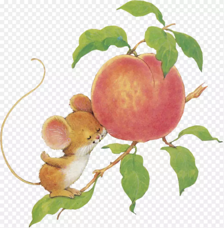 ������Ӱ����-������