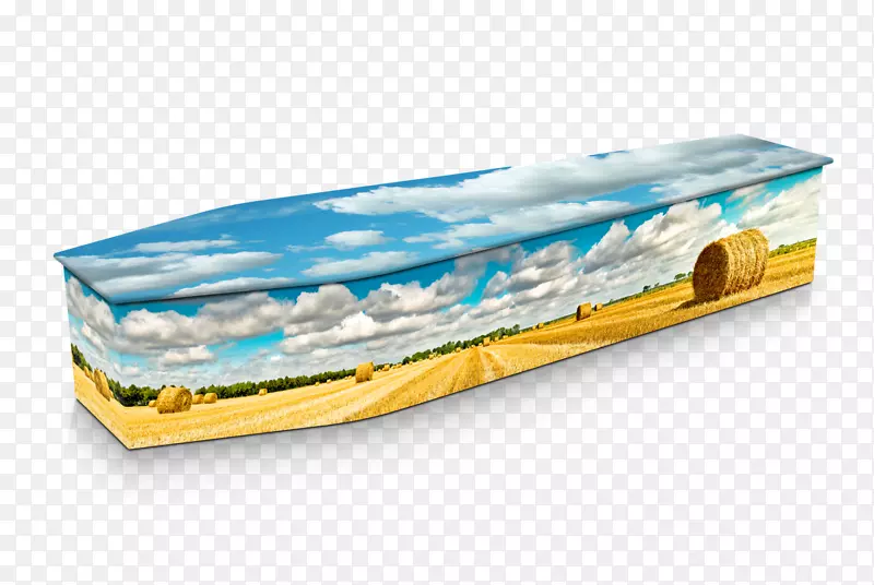 �������-������