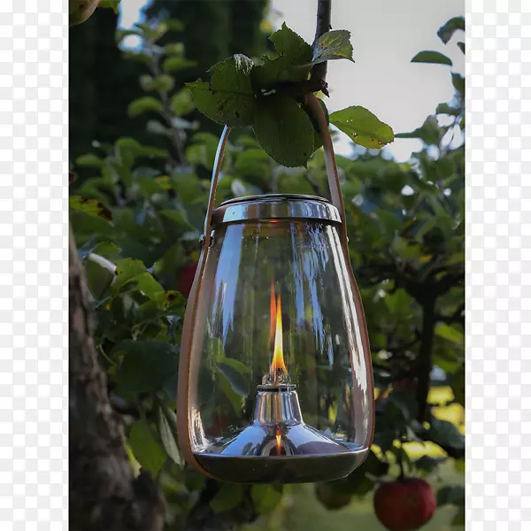 �����������͵Ʋ���-������