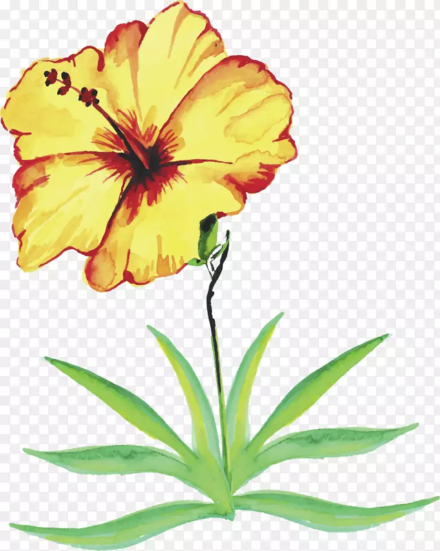 ����ˮ�ʻ���-������