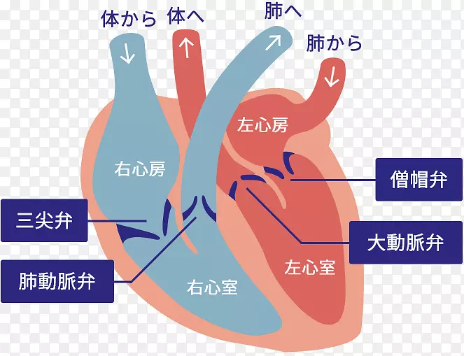 Ʒ�Ʊ�־����һ����ָ���-������