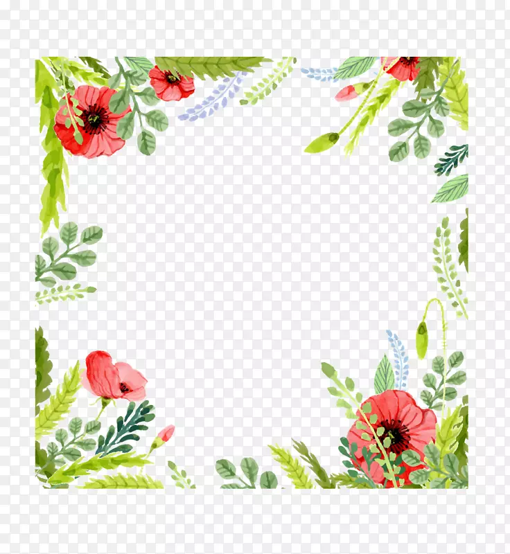 �������뺯ˮ�ʻ�����ˮ�ʻ�����-������