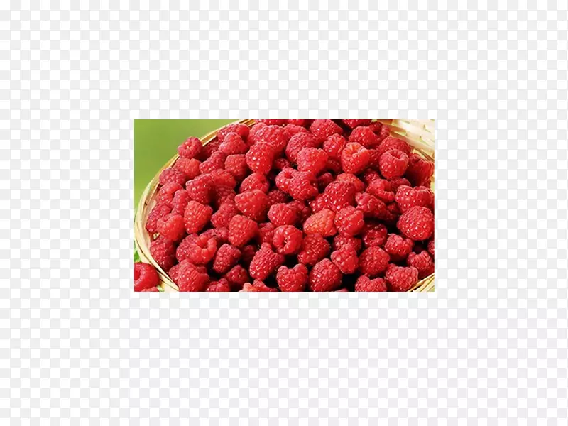 ������Խ�ٳ���ʳ���ݮ������-������