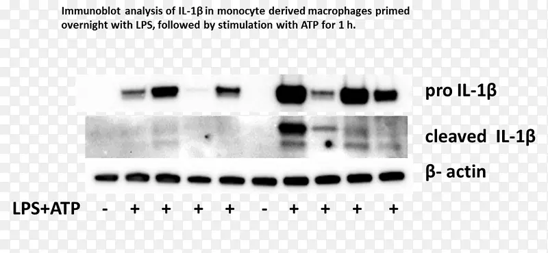 �ļ��߽����-������