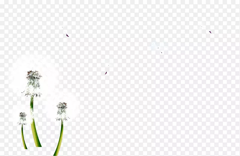 ����ͼ��-�ѹ�Ӣװ��-������