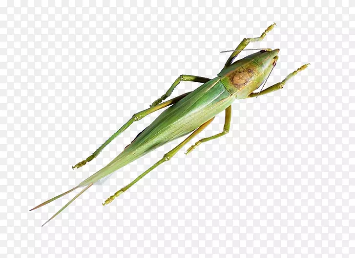 �޹�������ȳ�-�������ϻȳ�ͼ��-������