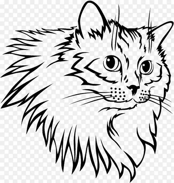 Сèë���׵����Ӽ�����-�ɰ����ֻ�è����-������