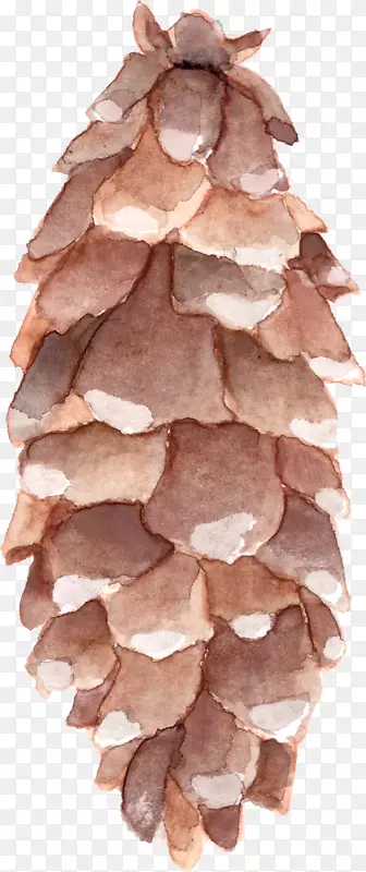 ˮ�ʻ�.��׶-������