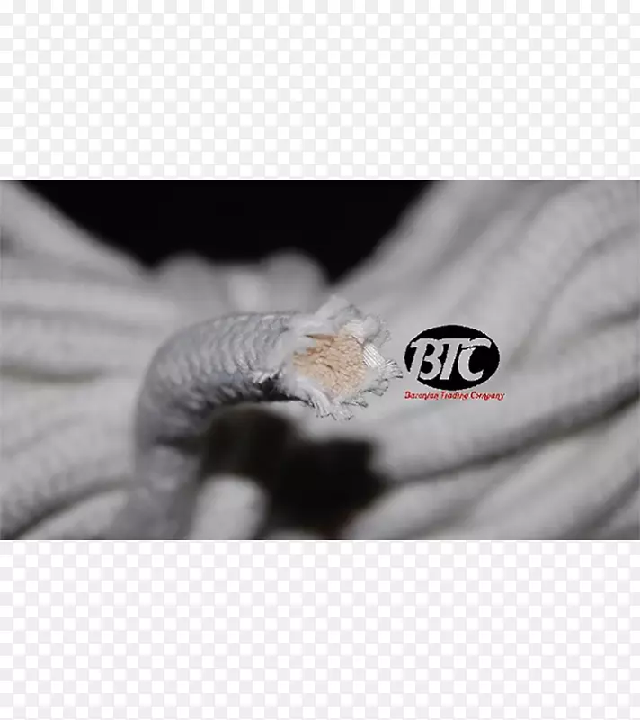 ������д��ɫ��ָ������-������