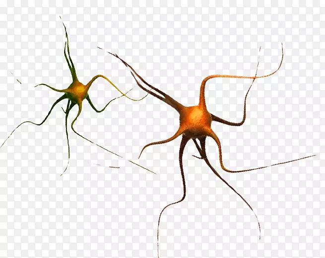 �Ѹ�֩������STX g.1800e.j.m.v.u.nr yn������-����-������