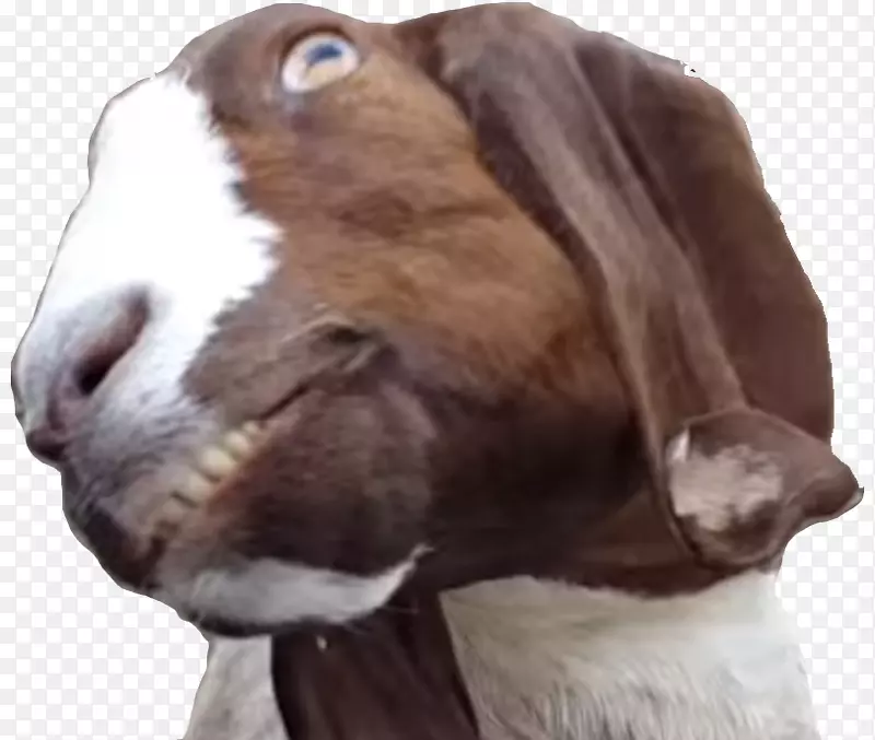 ɽ��ħ��������ֳɽ�����-������