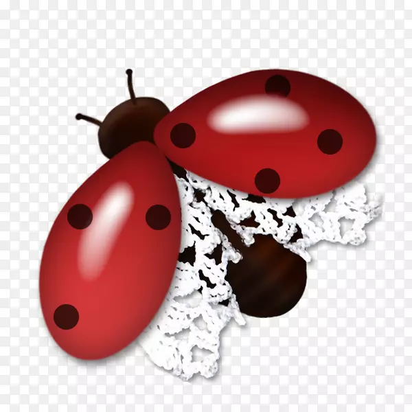 ��ư��-Ư���ĺ�ư��-������