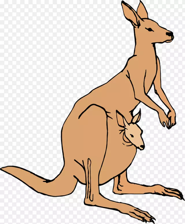 ����������ݴ�������-����-������