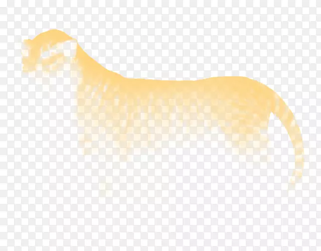 èȮ����-�ʼ�ʨ��-������