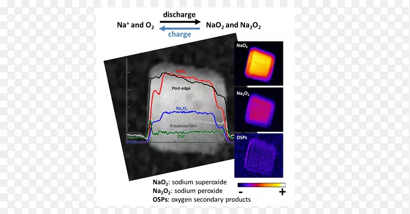 Ʒ�ƶ�ý�����-������