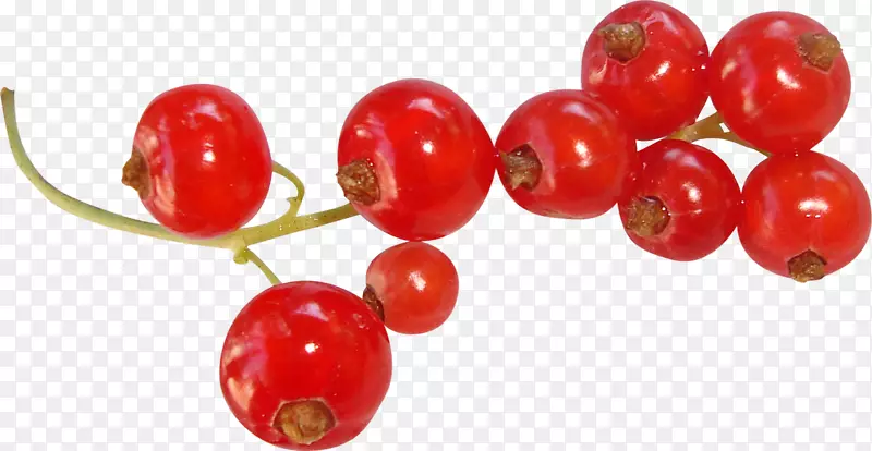 �����-��ާ���էڧߧ�-������