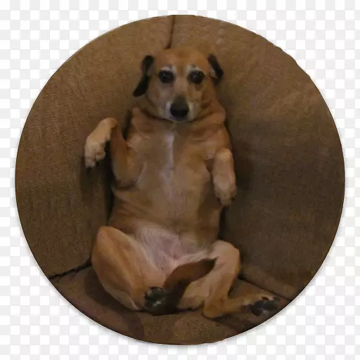 С��Ʒ��-С��-������