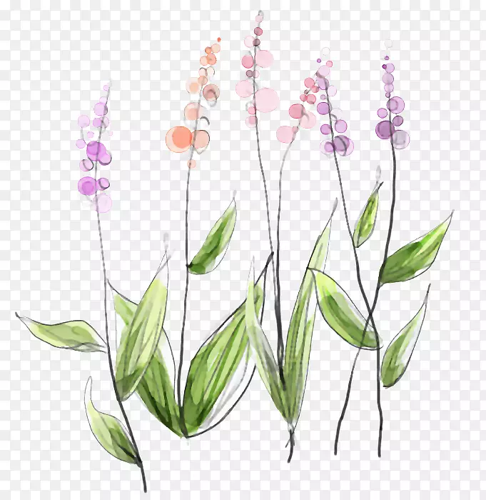 �Ϳ⻨�ڻ���-����-������