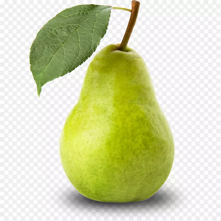 ŷ������ؼ�������-������ɫϤ��-������