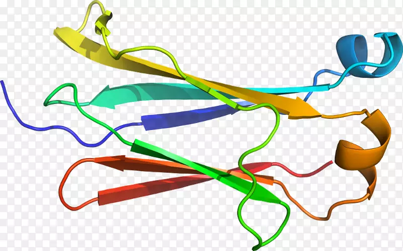 �ߵ������������-������