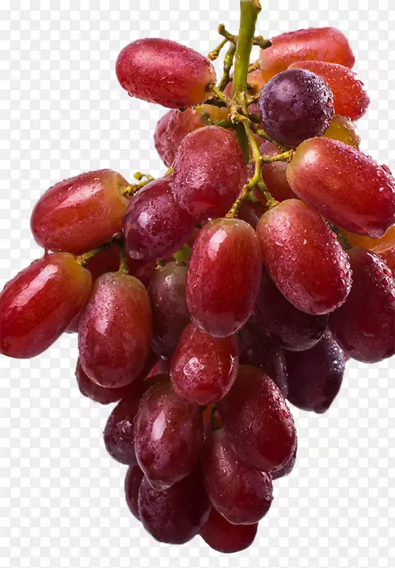 ����Kyoho zante�����޺˹�ʵ-һ����ɫ����-������