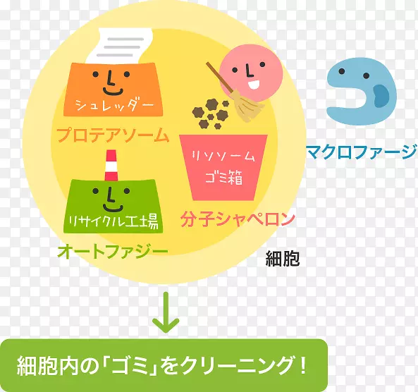 ��Ӧ������ϵͳ������Ȼ����ϵͳ����-������