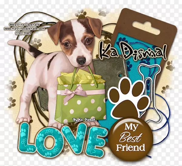 ����ֳС��������-С��-������