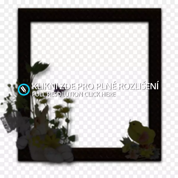 ����������-������