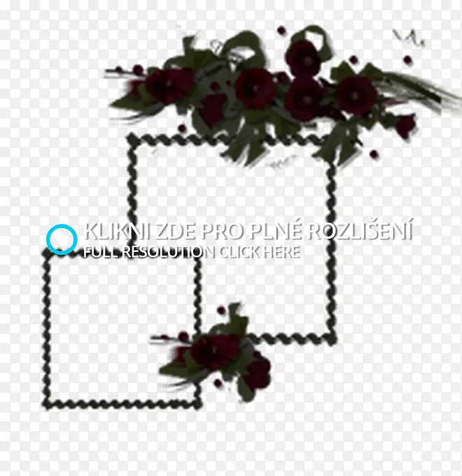 ����ֲ������-������