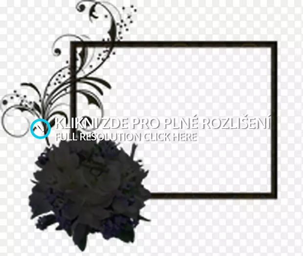 ����LiveInternet������-Vas-������