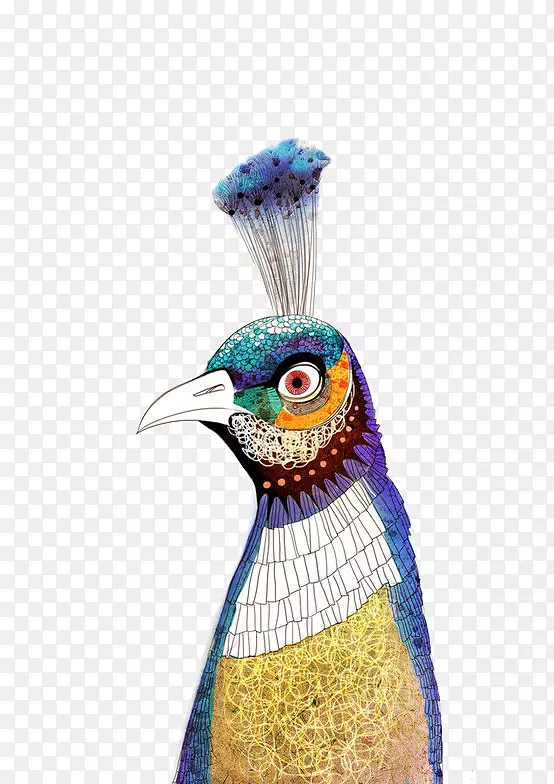 ��ˮ�ʻ���ȸͷ-������