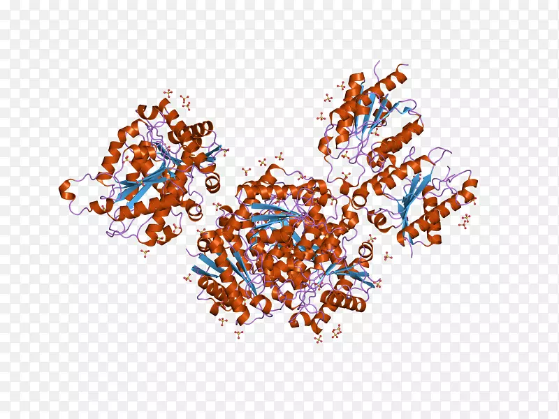 �����鱦����-������