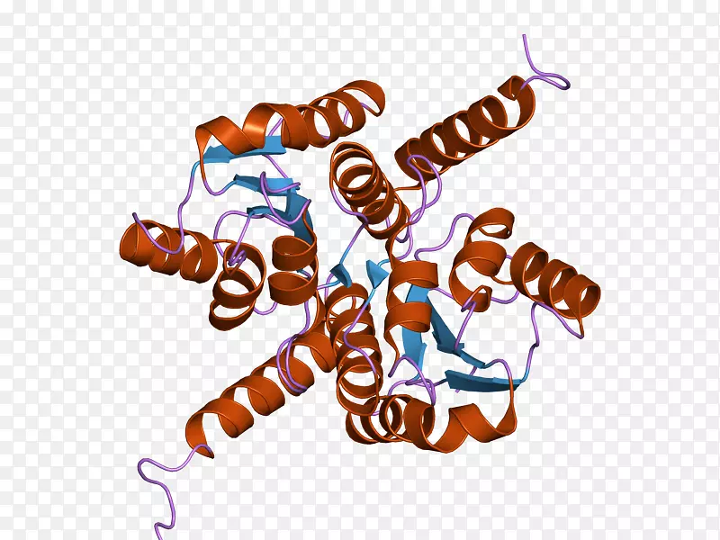 ��������ʳƷ����������-������