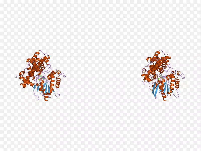 �����������鱦�����鱦-������