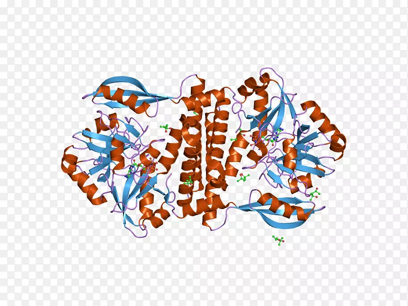 �ߵ������-��-������