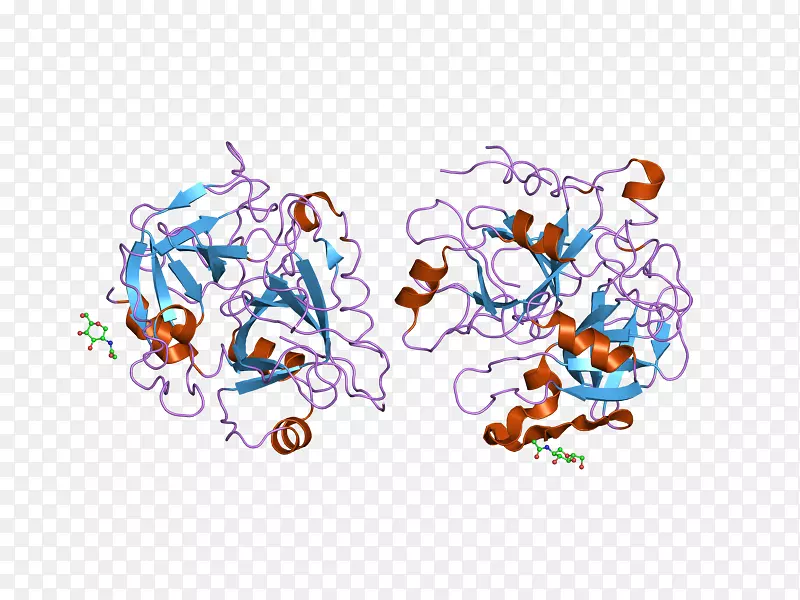 �����ֽ���Լ���������-������