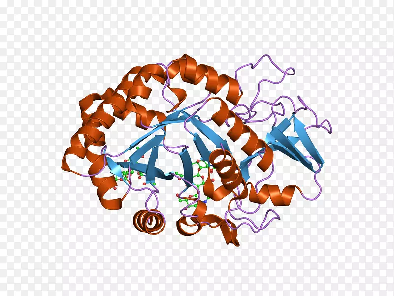 ʳƷ������-ebi-������