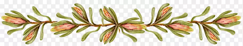 �������.����-������