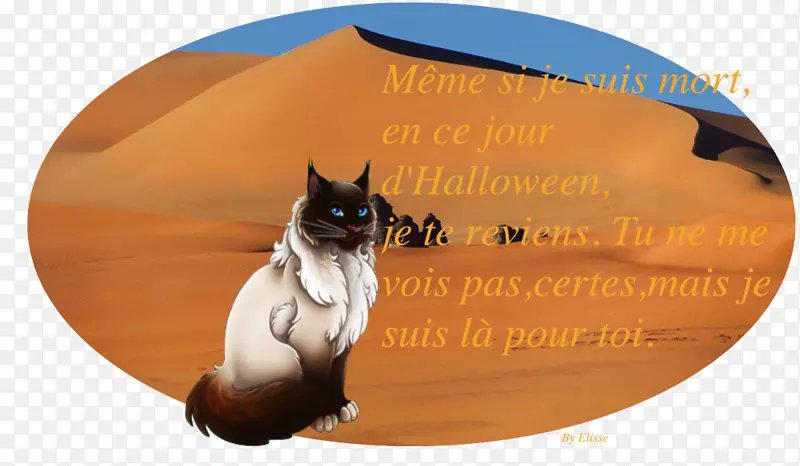 ����è����è-������