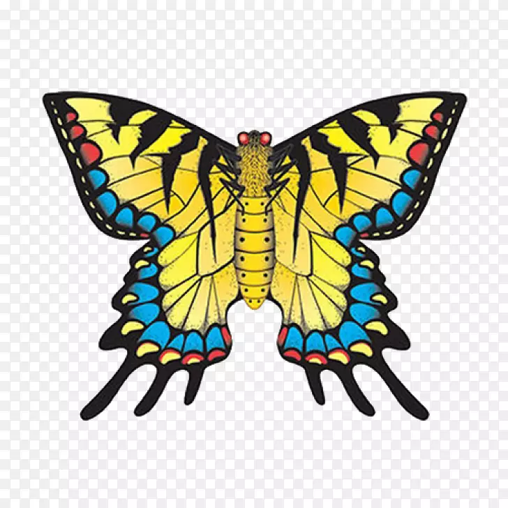 ��������������β����-����-������