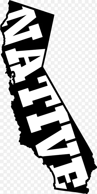 ���ո�������-������