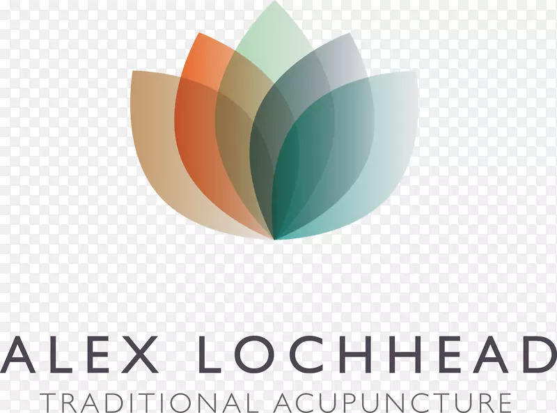 �̱������ֽ-����-������